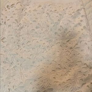 Floral Lace Skirt Ann Taylor loft